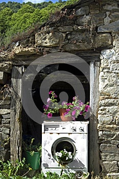 Old washing machine used as a planter