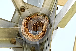 The old wasps nest on metal structures