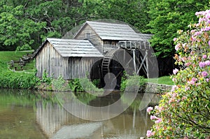 Old water mill