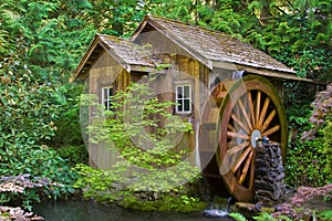 Old water mill