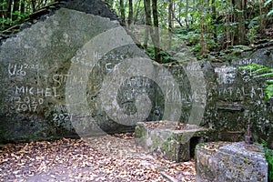 Old water mill ruins