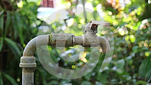 Old water tab on the garden with green tree blur background