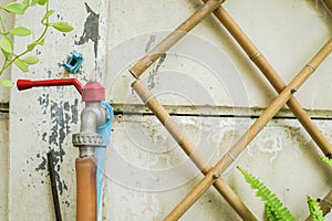 Old water tap with rubber tube in home garden