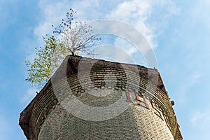 Old water tower built in 1950 with a tree on the roof on the territory of the military town of Balabanovo-1