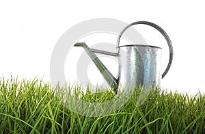 Old watering can in grass