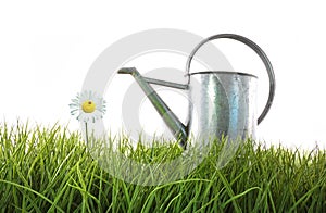 Old watering can in grass