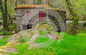 Old watermill in Homem River photo