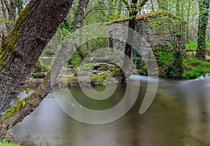 Old watermill in Homem River photo