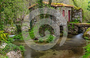 Old watermill in Homem River photo