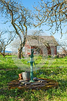 Old waterpump in a garden photo