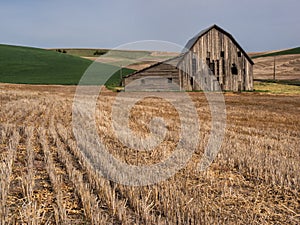 Old weathered barn surrounded by wheat fields