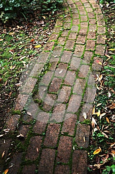 Old and weathered brick footpath with overgrown moss