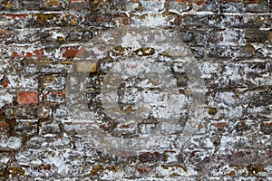 Old weathered brick wall, texture, background