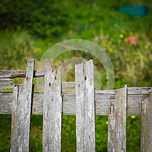 Old weathered broken wooden fence