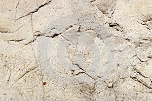 Old weathered concrete wall texture with scratches and hillocks. Abstract background