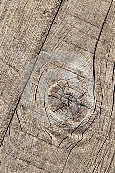 Old Weathered Cracked Knotted Pine Wood Floorboard Grunge Texture Detail