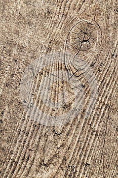 Old Weathered Cracked Knotted Pine Wood Floorboard Grunge Texture Detail