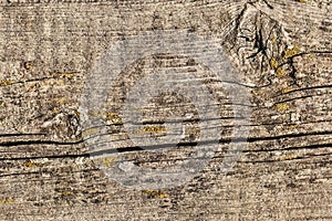 Old Weathered Cracked Knotted Pine Wood Floorboard Grunge Texture Detail