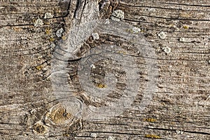 Old Weathered Cracked Knotted Pine Wood Floorboard Grunge Texture Detail