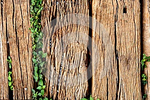 Old Weathered Cracked Wooden railroad tie Texture