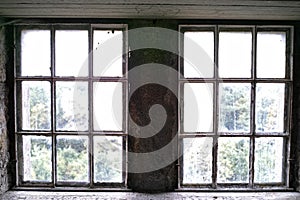 Old weathered dusty window with view to woods