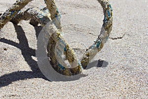 Old weathered fishing rope in dunes at sandy coastal ocean beach