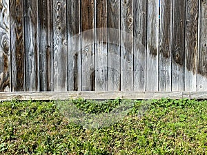 Old weathered garden yard fence with knotty wood and lush greenery ground cover lawn edge