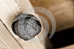 Old weathered gray beehive closeup hanging on a wooden background design base