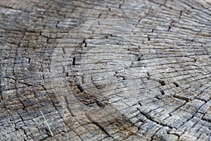 Old Weathered Grayish Cracked Wood Texture