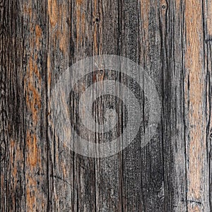 Old, weathered grunge wood planks close up, gray natural pattern background.