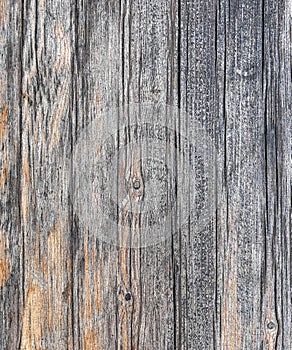 Old, weathered grunge wood planks close up, gray natural pattern background.