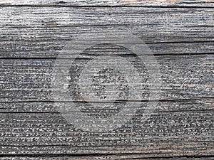 Old, weathered grunge wood planks close up, gray natural pattern background.
