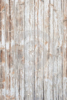 Old weathered light wooden board with vertical panels for backgrounds and text space