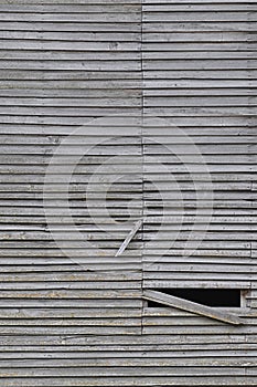 Old weathered natural grey damaged wooden farm shack wall, rustic grungy vertical background closeup, broken boarding pattern