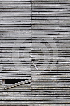 Old weathered natural grey damaged wooden farm shack wall, rustic grungy vertical background closeup, broken boarding pattern