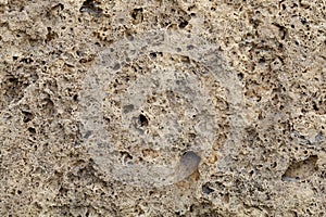 Old Weathered Natural Stone Texture