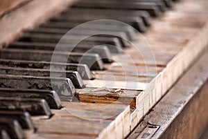 Old and Weathered Piano Keys