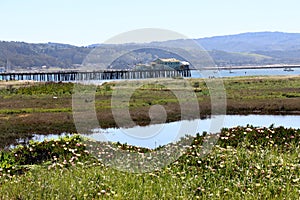 Old, weathered pier at Pillar Point Harbor, CA.