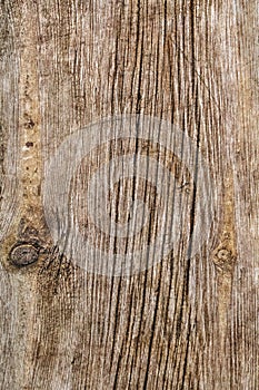 Old Weathered Rotten Cracked Knotted Rough Pinewood Floorboard Grunge Surface Texture Detail