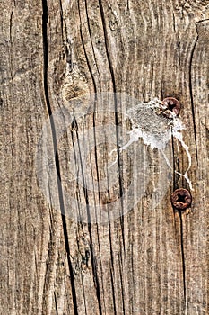 Old Weathered Rotten Cracked Rough Knotted Pinewood Floorboard Grunge Surface Texture Detail