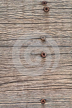 Old Weathered Rotten Cracked Rough Pine Wood Floorboard Grunge Surface With Rusty Phillips Screws Embedded Detail