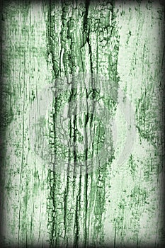 Old Weathered Rotten Cracked Wood Kelly Green Vignetted Grunge Texture