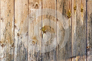 Old weathered shabby wooden planks. Natural wood texture