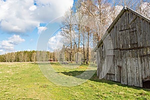 Old weathered shed on a meadow