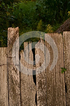 Old weathered timbered country fence, farmland details