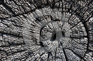 Old weathered wood background.Wooden backdrop.