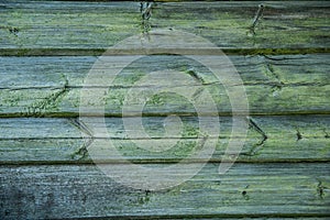 Old weathered wood planks covered with green moss