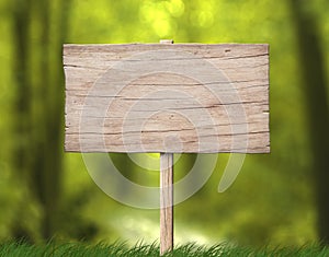 Old weathered wood signboard made of bright wood with pole and forest background