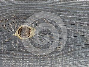 Old Weathered Wood Texture Natural Background