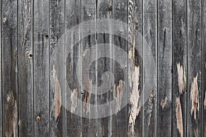 Old weathered wooden fence background . Rustic style wood texture